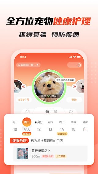 宠物家2