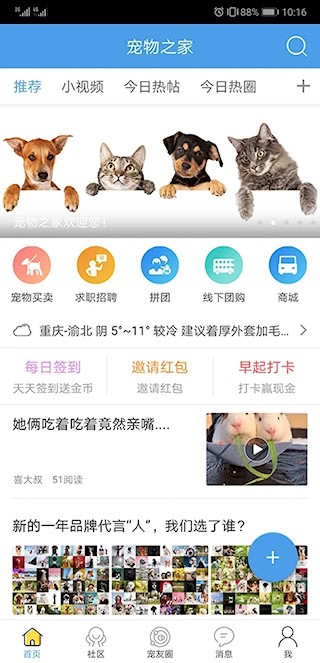 宠物之家2