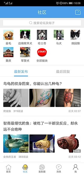 宠物之家1