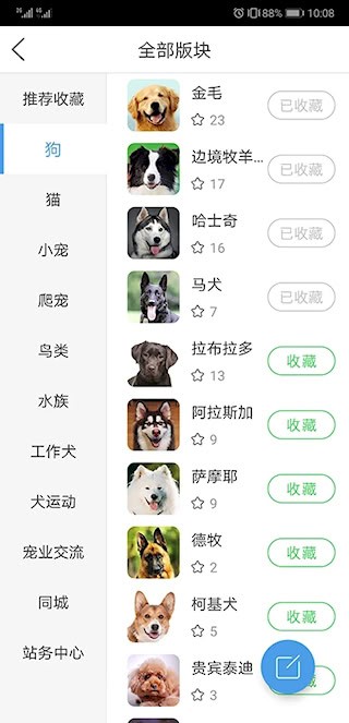 宠物之家4