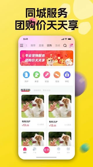 宠之谷2