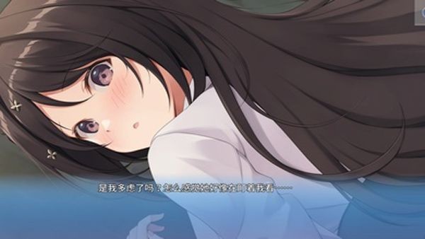 角色扮演之恋极乐公主最新版2