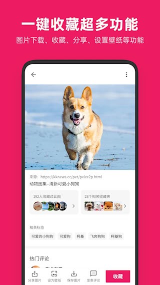 图片搜搜3