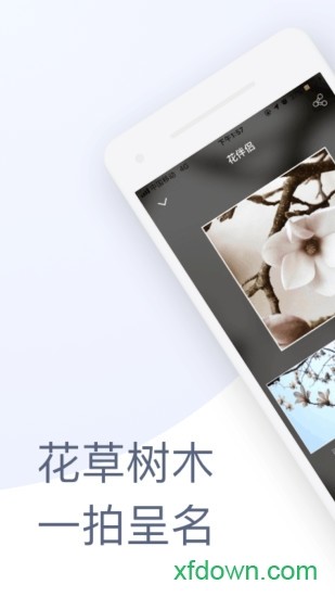 花的伴侣app4