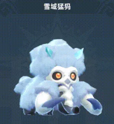 宠物搭配阵容攻略5