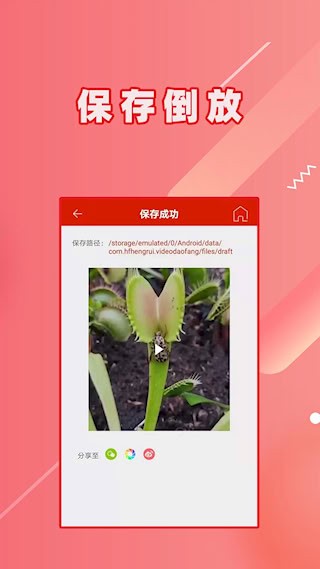 视频倒放2
