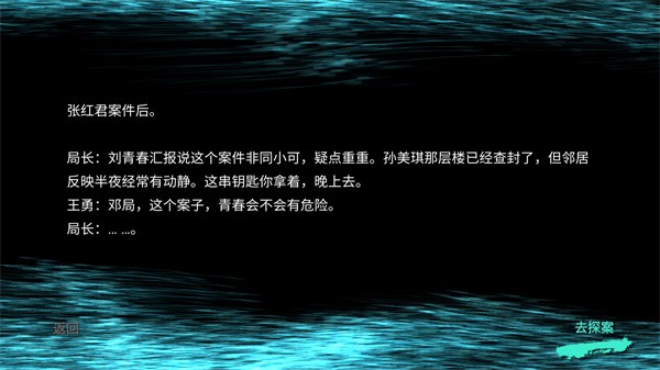 孙美琪疑案王勇截图3