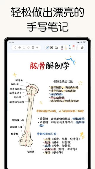 自由笔记1