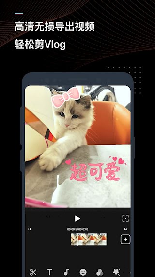 迅捷视频转换器手机版截图2