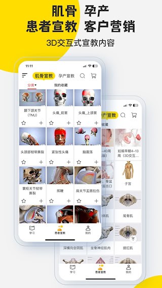 3Dbody解剖2