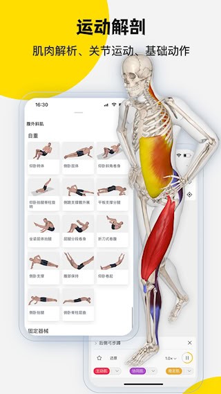 3Dbody解剖1