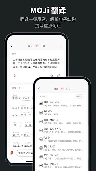 MOJi辞書5