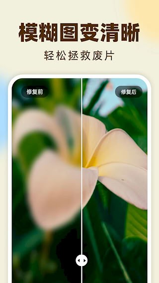 柠檬照片管家1