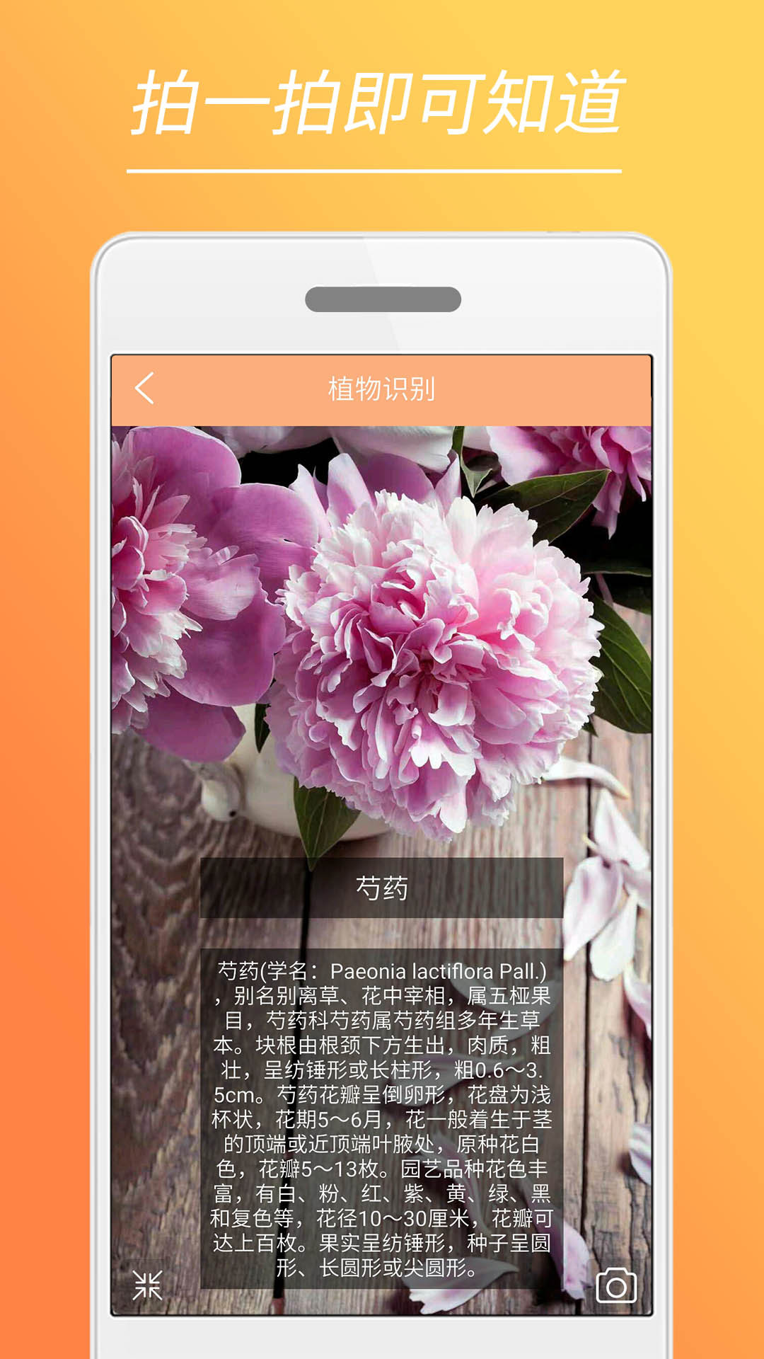 时光美图app3