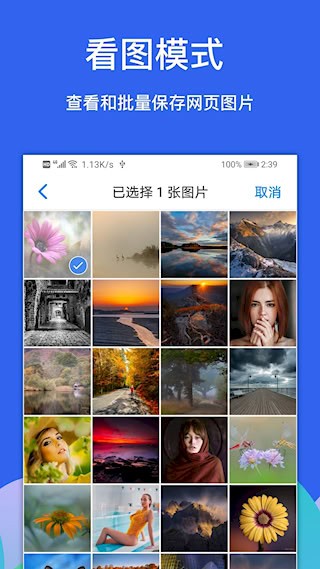 Alook浏览器最新版2