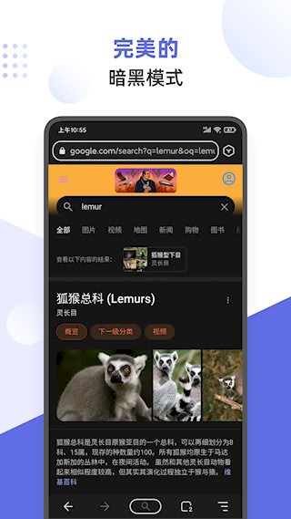 狐猴浏览器3