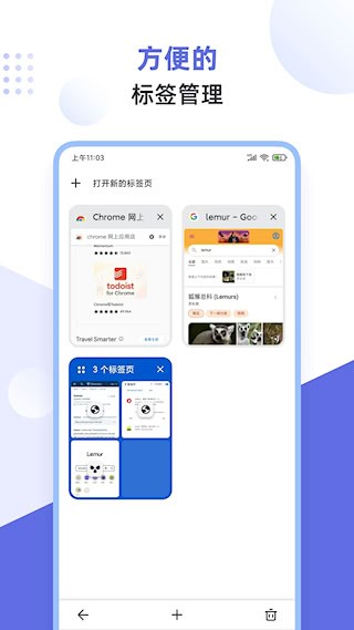狐猴浏览器2