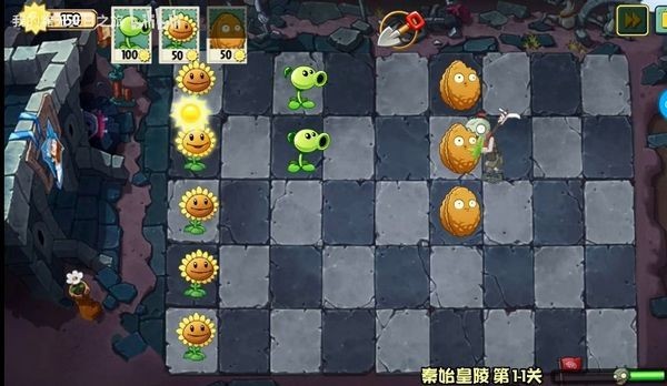 植物大战僵尸文化版1