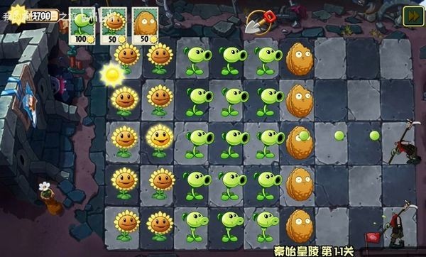 植物大战僵尸文化版2