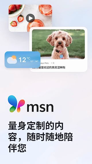 MSN4