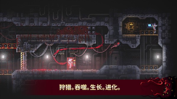 红怪免费版4