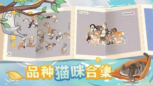挤在一起的猫猫去广告版4