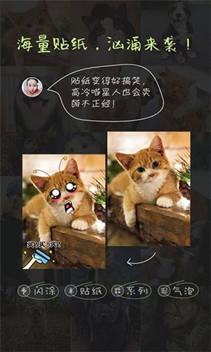 萌宠相机app2