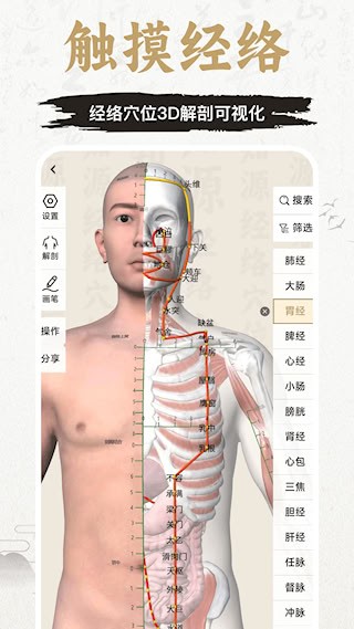 知源经络穴位截图2