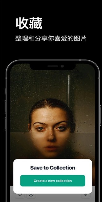 Pexels1