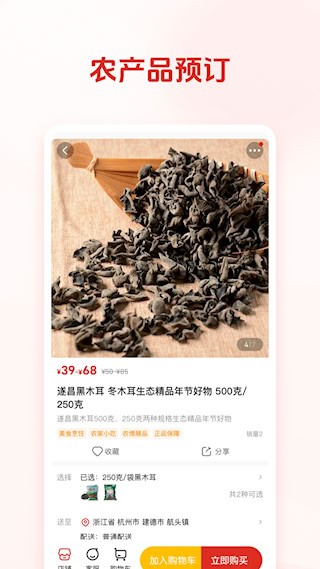网上农博截图3