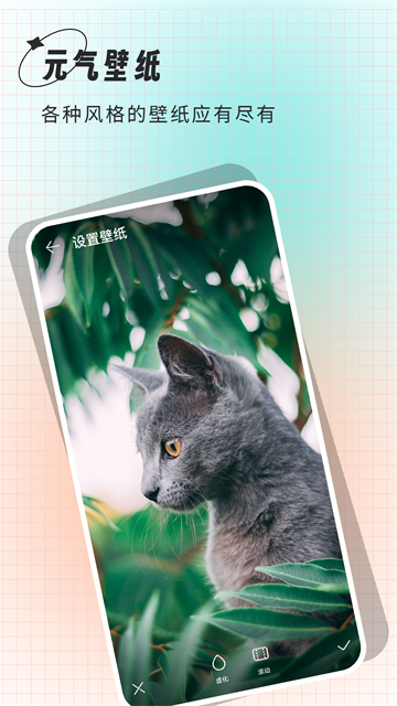 克拉壁纸app1