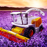 大农场移动丰收（Big Farm）手机版