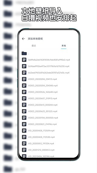星咩视频壁纸软件5