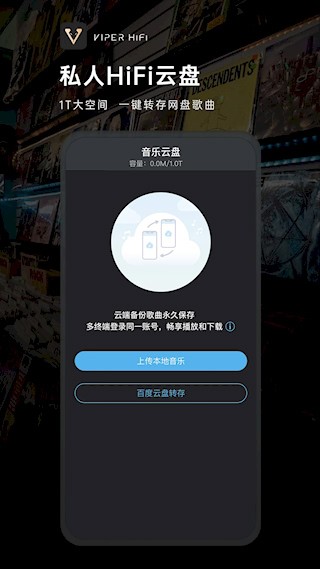 VIPER HiFi音乐截图1