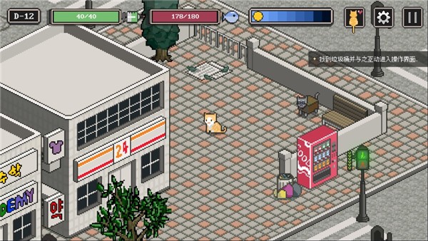 流浪猫的故事中文版2