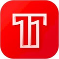 T11