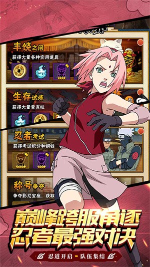 侍忍者内置菜单版3