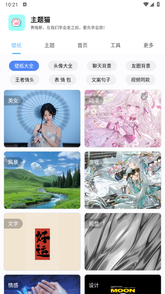 主题猫app3