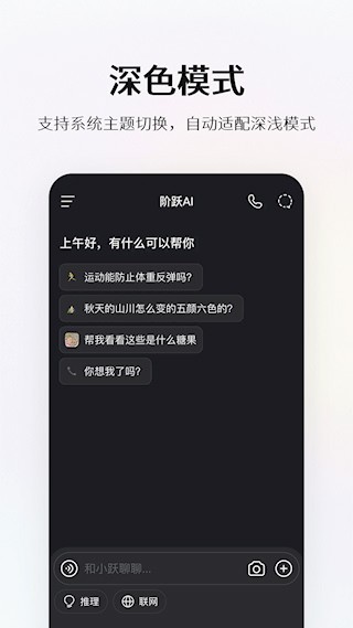 阶跃AI截图1