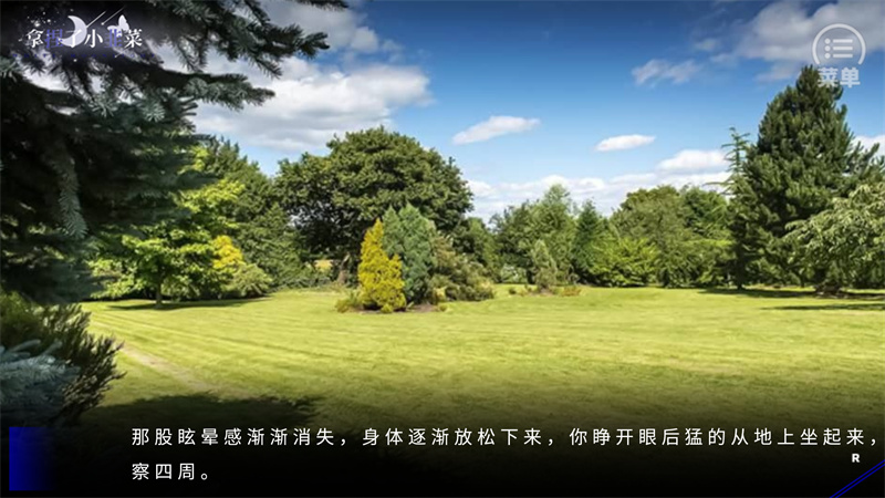 游戏攻略截图4