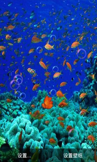 海底动态壁纸app2