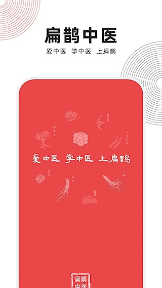 扁鹊中医1