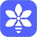 素材浏览器