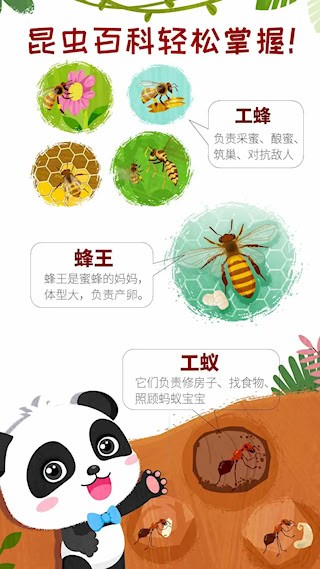 奇妙昆虫世界3