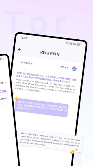 ViiTor实时翻译1