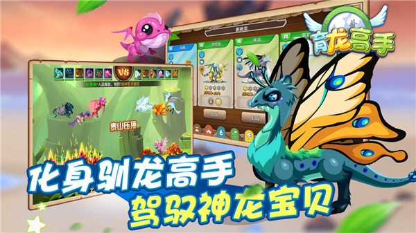 育龙高手内置配方版1