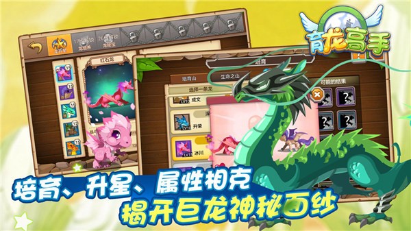 育龙高手内置配方版3