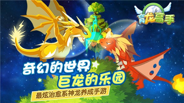育龙高手内置配方版2