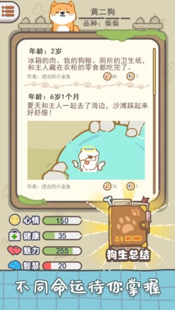 狗子重生模拟器免广告版1