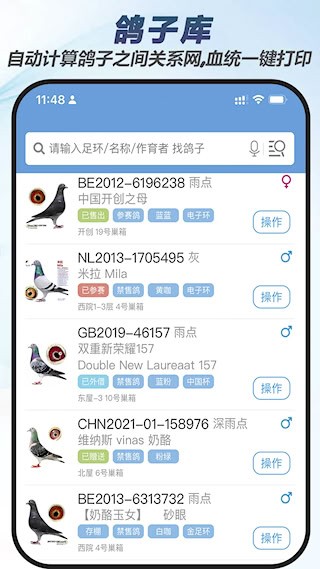 赛鸽云3